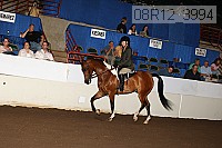 08r12_3994 proof