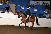 08r12_3995 proof