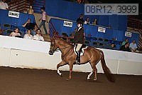 08r12_3999 proof