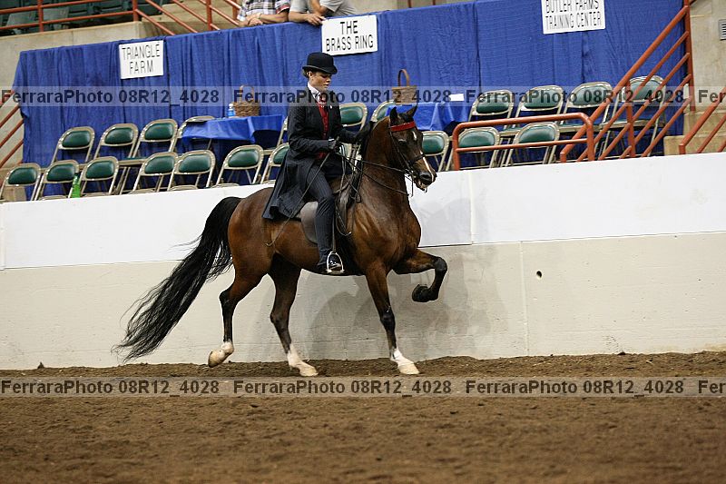 Proof 08r12_4028