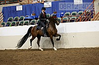 08r12_4028 proof