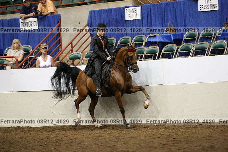 Proof 08r12_4029