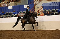08r12_4033 proof