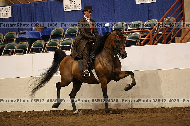 Proof 08r12_4036