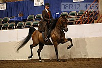 08r12_4036 proof