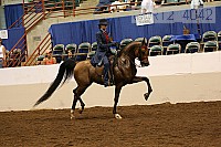 08r12_4042 proof
