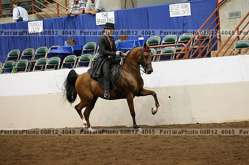 Proof 08r12_4045