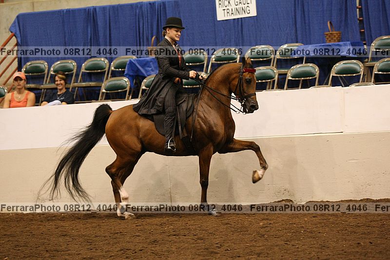 Proof 08r12_4046