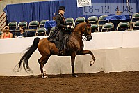 08r12_4046 proof
