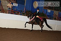 08r12_4062 proof