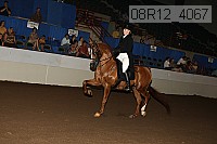 08r12_4067 proof