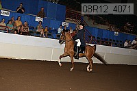 08r12_4071 proof