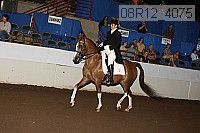 08r12_4075 proof