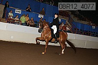 08r12_4077 proof