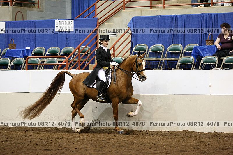 Proof 08r12_4078
