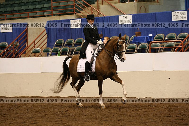 Proof 08r12_4085