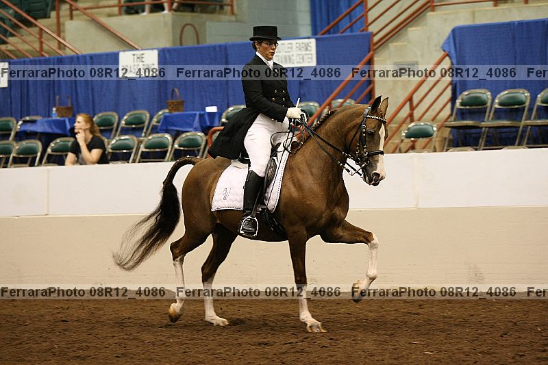 Proof 08r12_4086