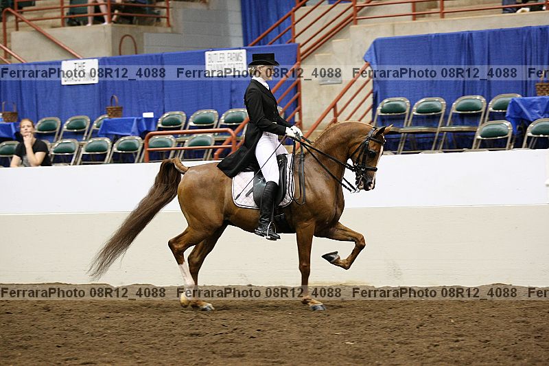 Proof 08r12_4088
