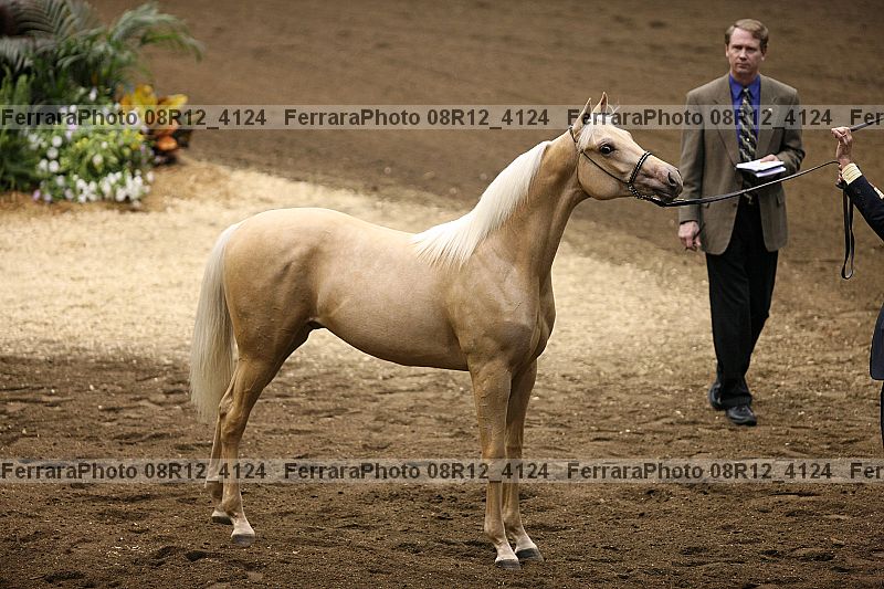 Proof 08r12_4124