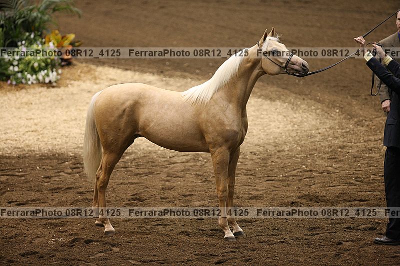 Proof 08r12_4125