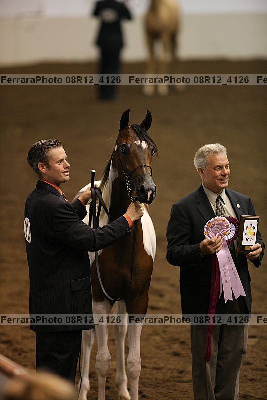 Proof 08r12_4126