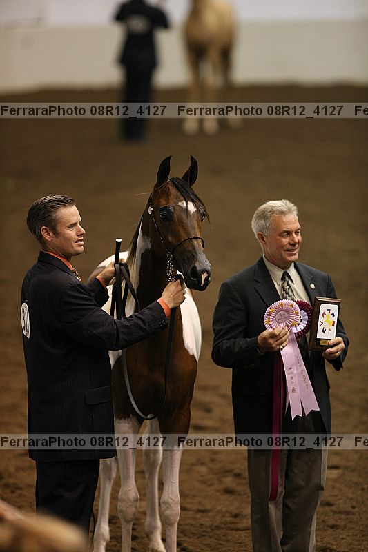 Proof 08r12_4127