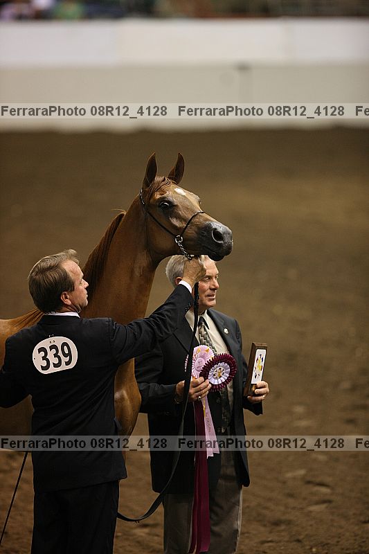 Proof 08r12_4128