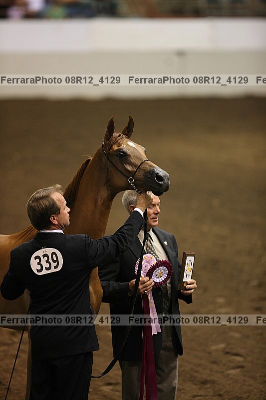 Proof 08r12_4129