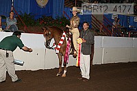 08r12_4177 proof