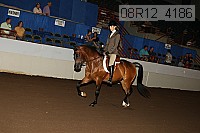 08r12_4186 proof