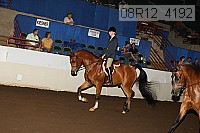 08r12_4192 proof