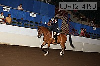 08r12_4193 proof