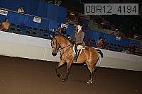 08r12_4194 proof