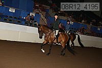 08r12_4195 proof