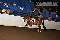08r12_4198 proof