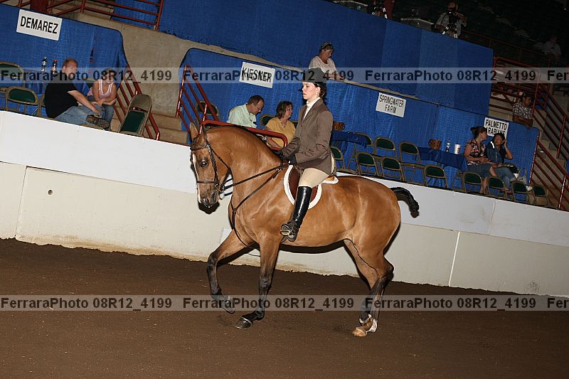 Proof 08r12_4199