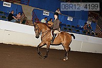 08r12_4199 proof