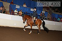 08r12_4202 proof
