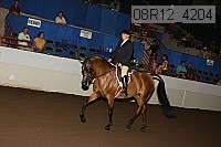 08r12_4204 proof
