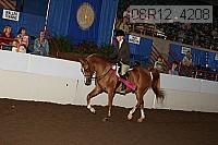 08r12_4208 proof