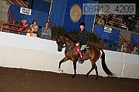 08r12_4209 proof