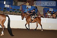 08r12_4323 proof