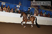 08r12_4329 proof