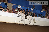 08r12_4332 proof