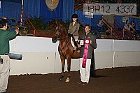 08r12_4337 proof
