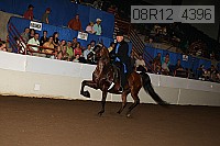 08r12_4396 proof