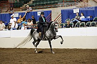 08r12_4405 proof