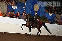 08r12_4417 proof