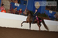 08r12_4418 proof