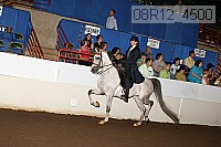 08r12_4500 proof